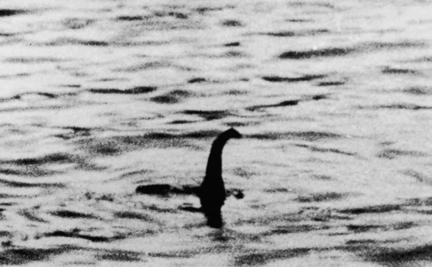 Ogromno stvorenje: Naučnici DNA analizom otkrili šta je čudovište iz Loch Nessa
